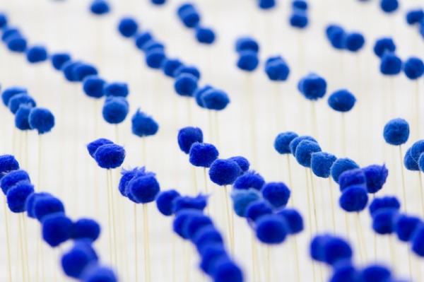 installation bleu