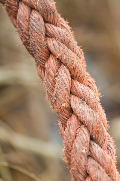 corde